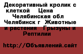 Декоративный кролик с клеткой. › Цена ­ 1 700 - Челябинская обл., Челябинск г. Животные и растения » Грызуны и Рептилии   